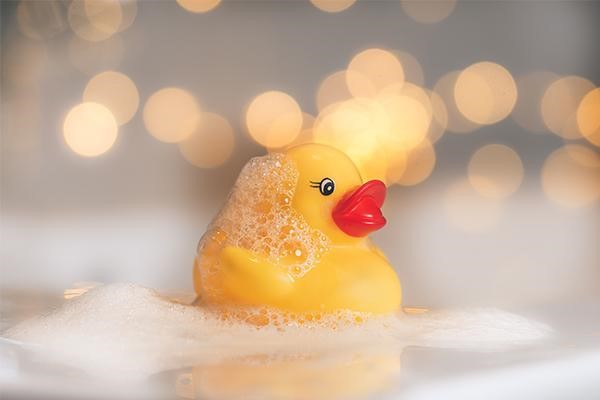 اردک حمامی