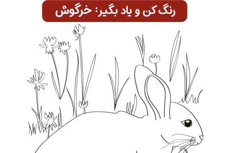 رنگ خرگوش