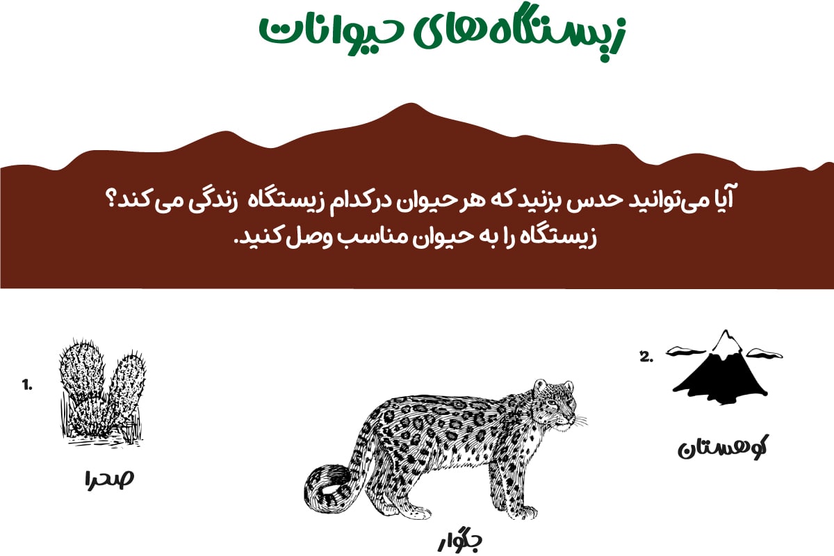 زیستگاه حیوانات 2