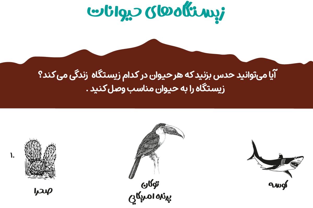 زیستگاه حیوانات 4