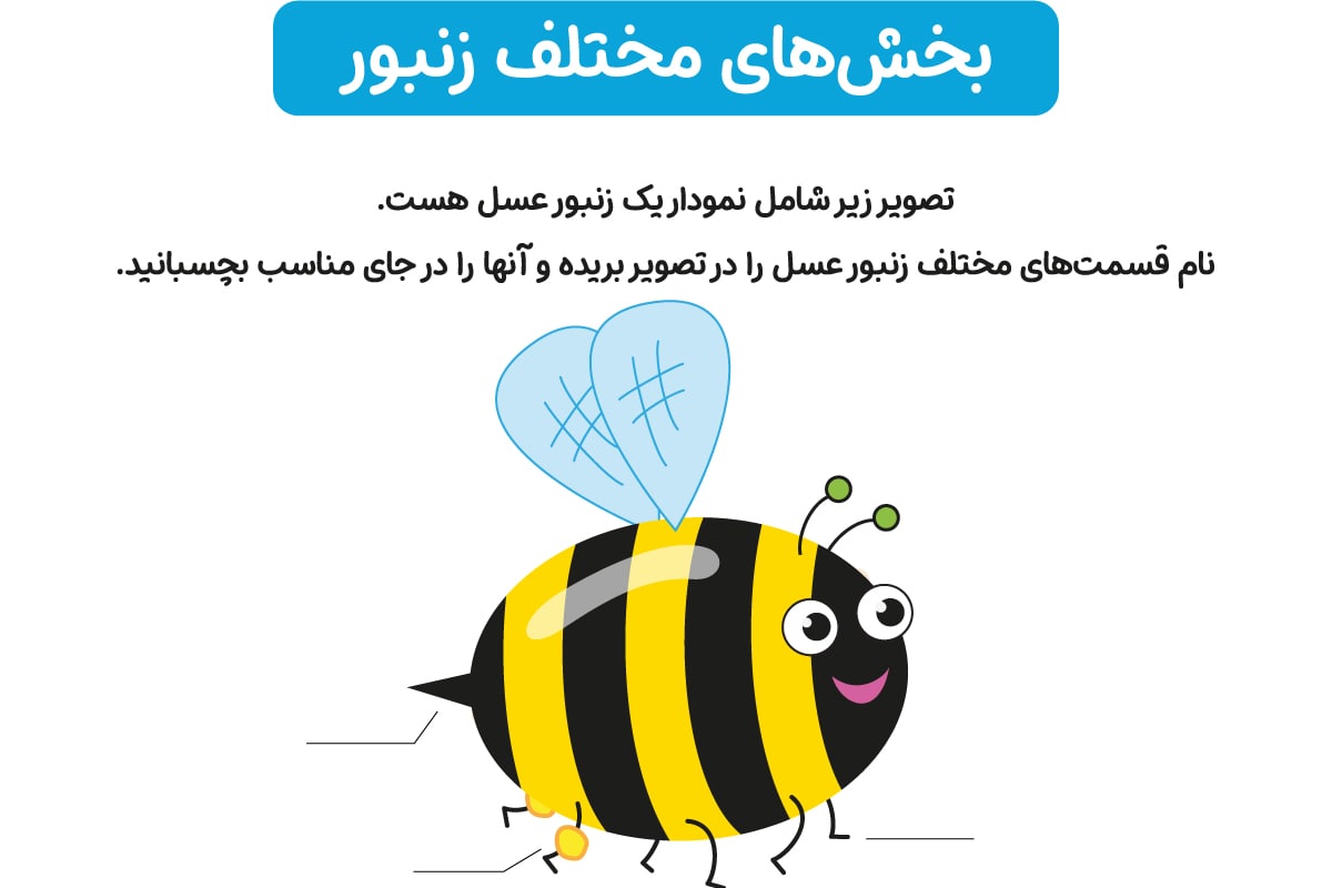زنبور