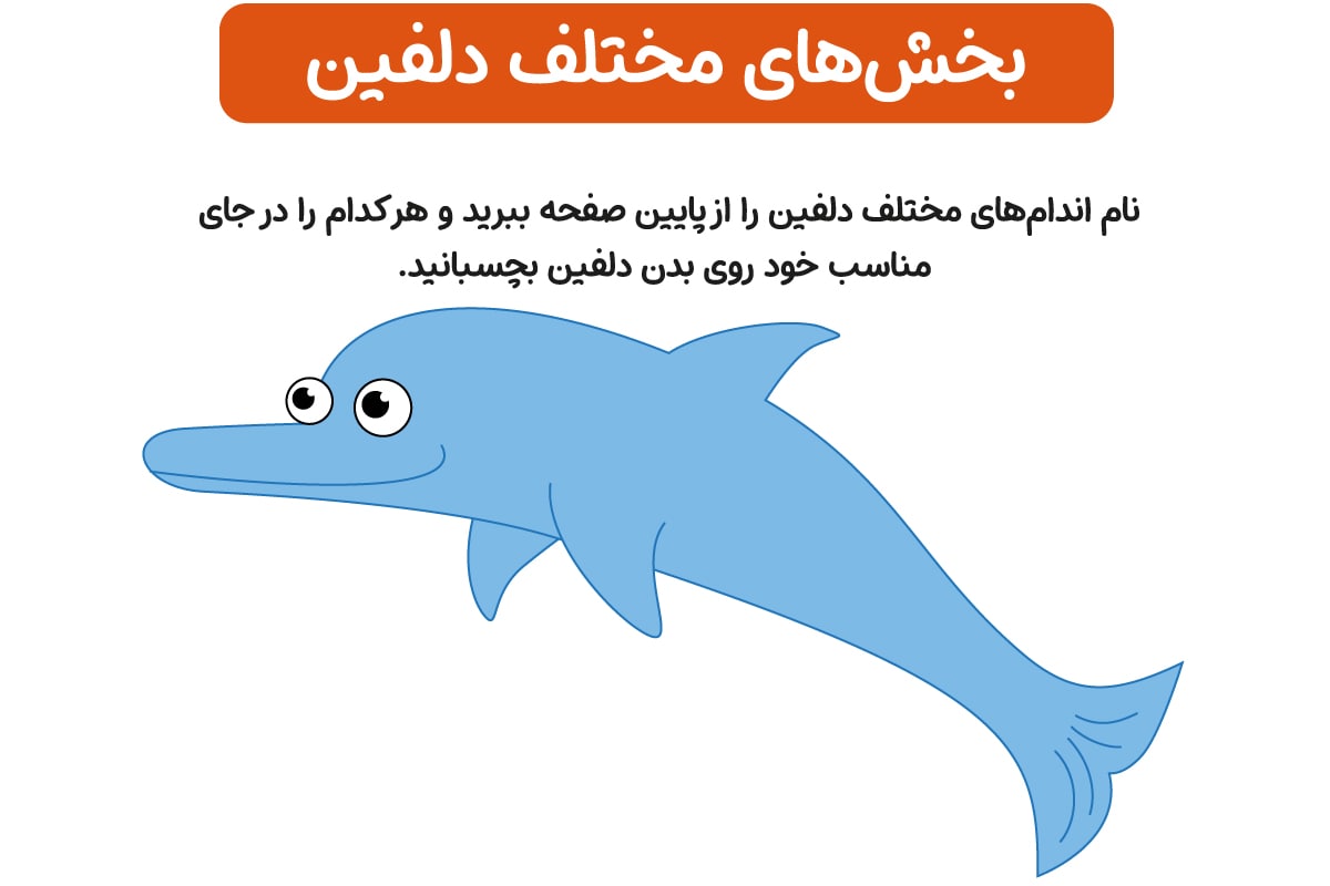 دلفین