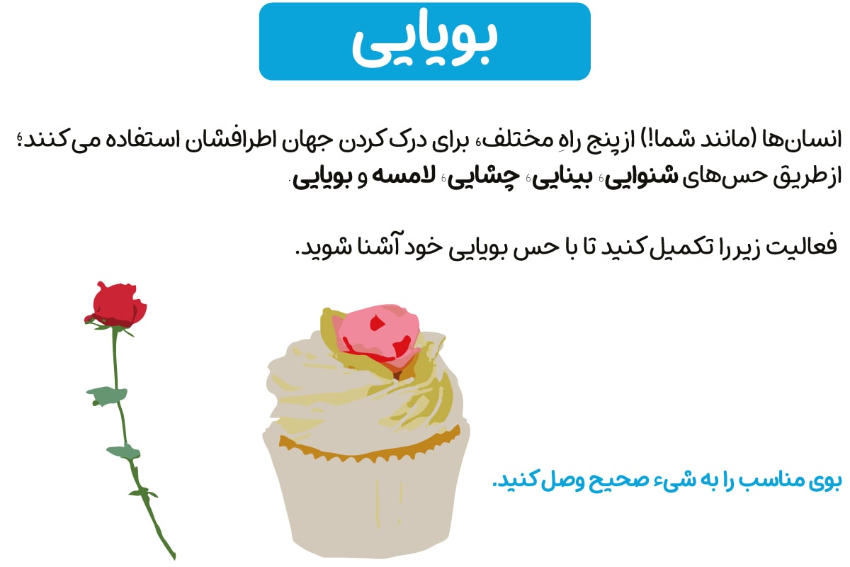 حس بویایی