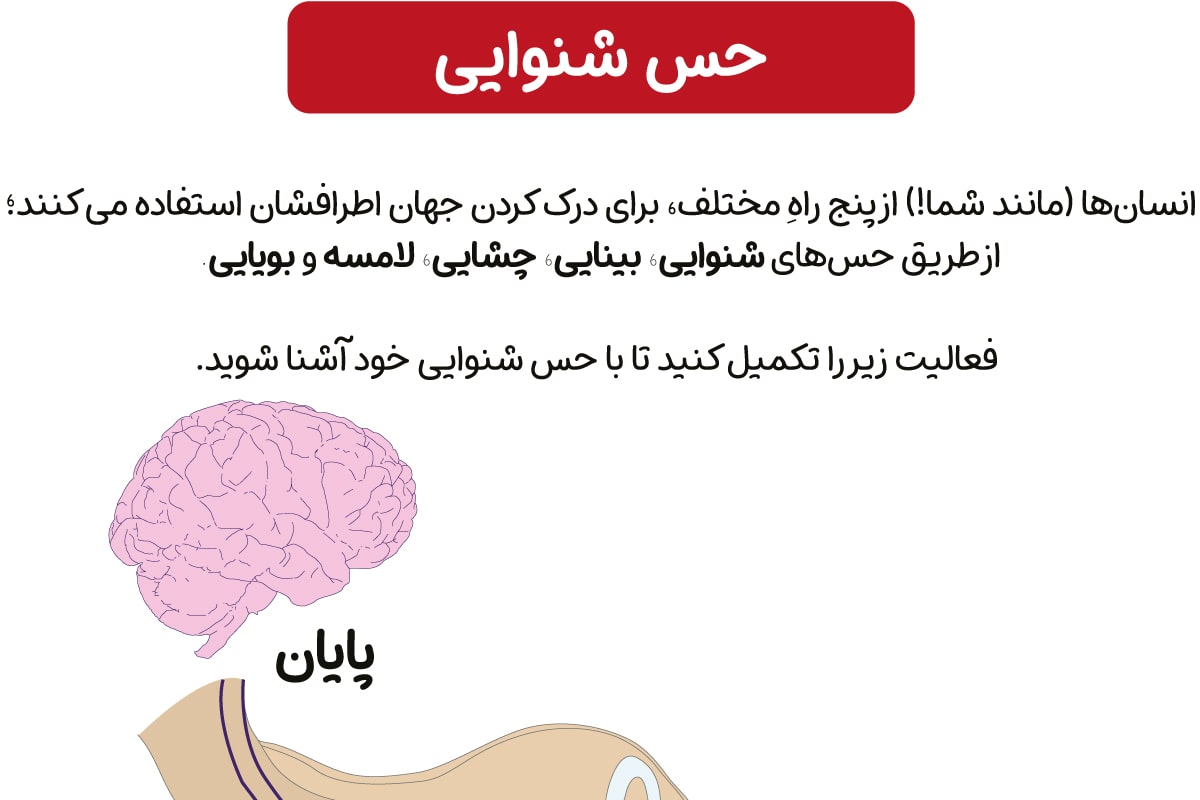 حس شنوایی