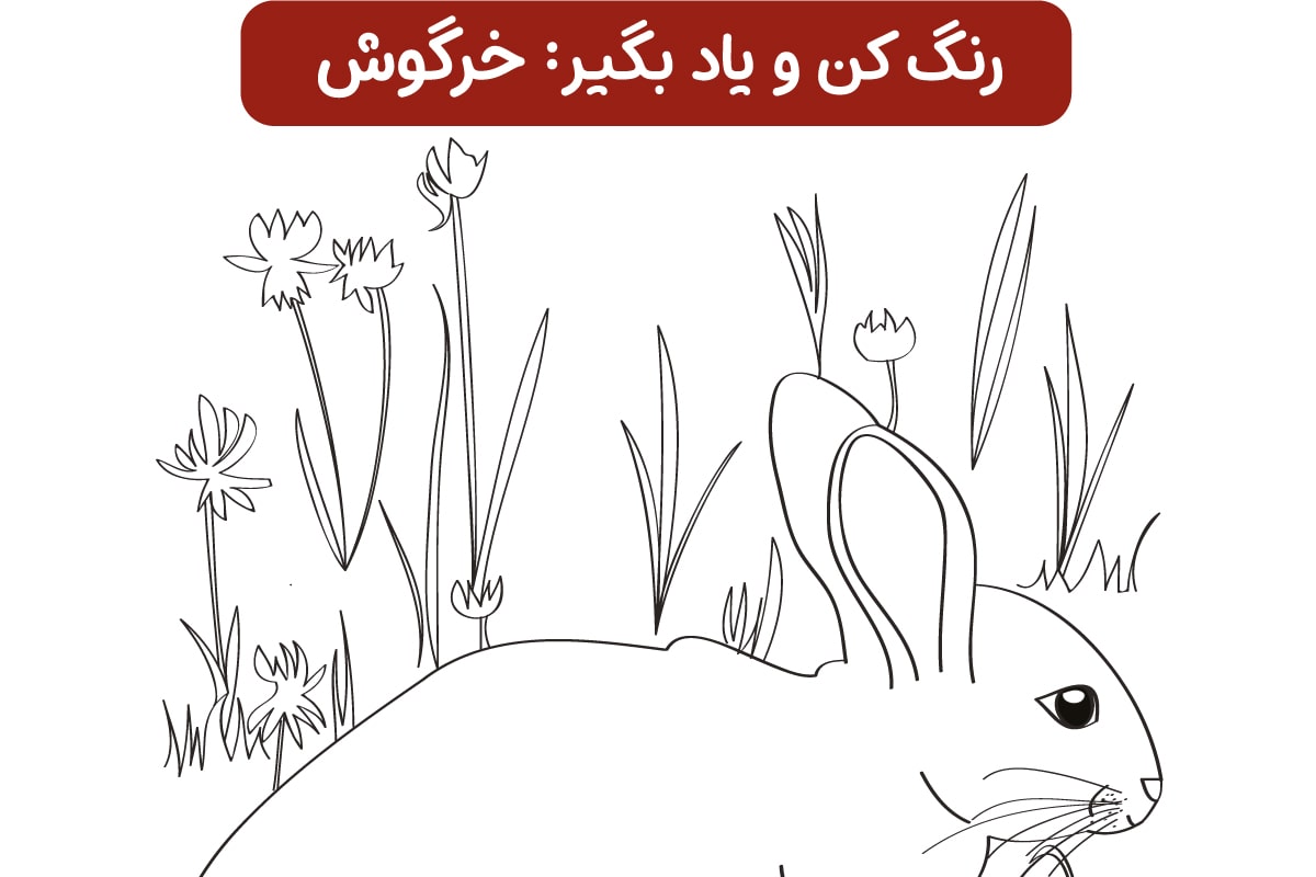 صفحه رنگ‌آمیزی خرگوش