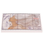 بازی فکری اینوئیت