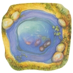 بازی فکری تکامل