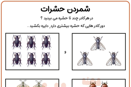 شمارش حشرات
