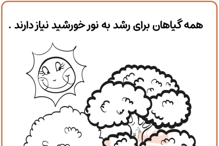رنگ آمیزی جنگل