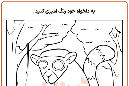 zoo-coloring-page-16