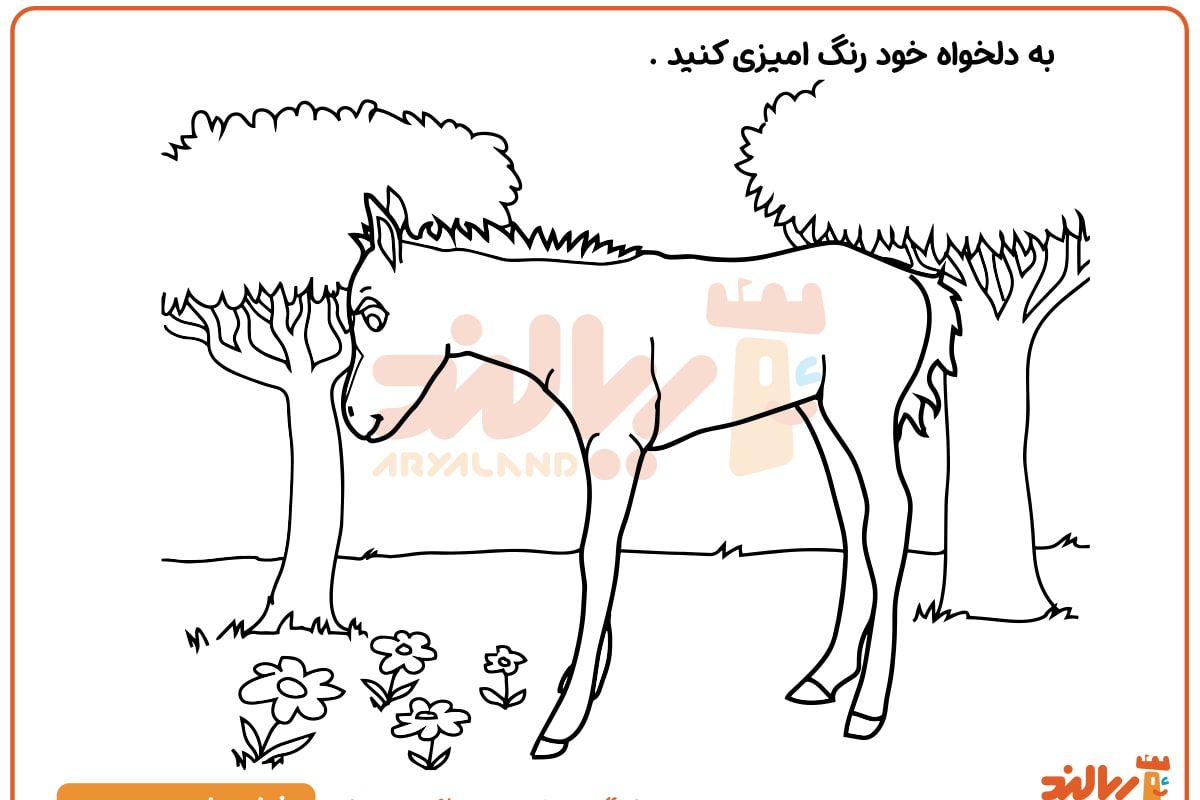 رنگ آمیزی بچه اسب