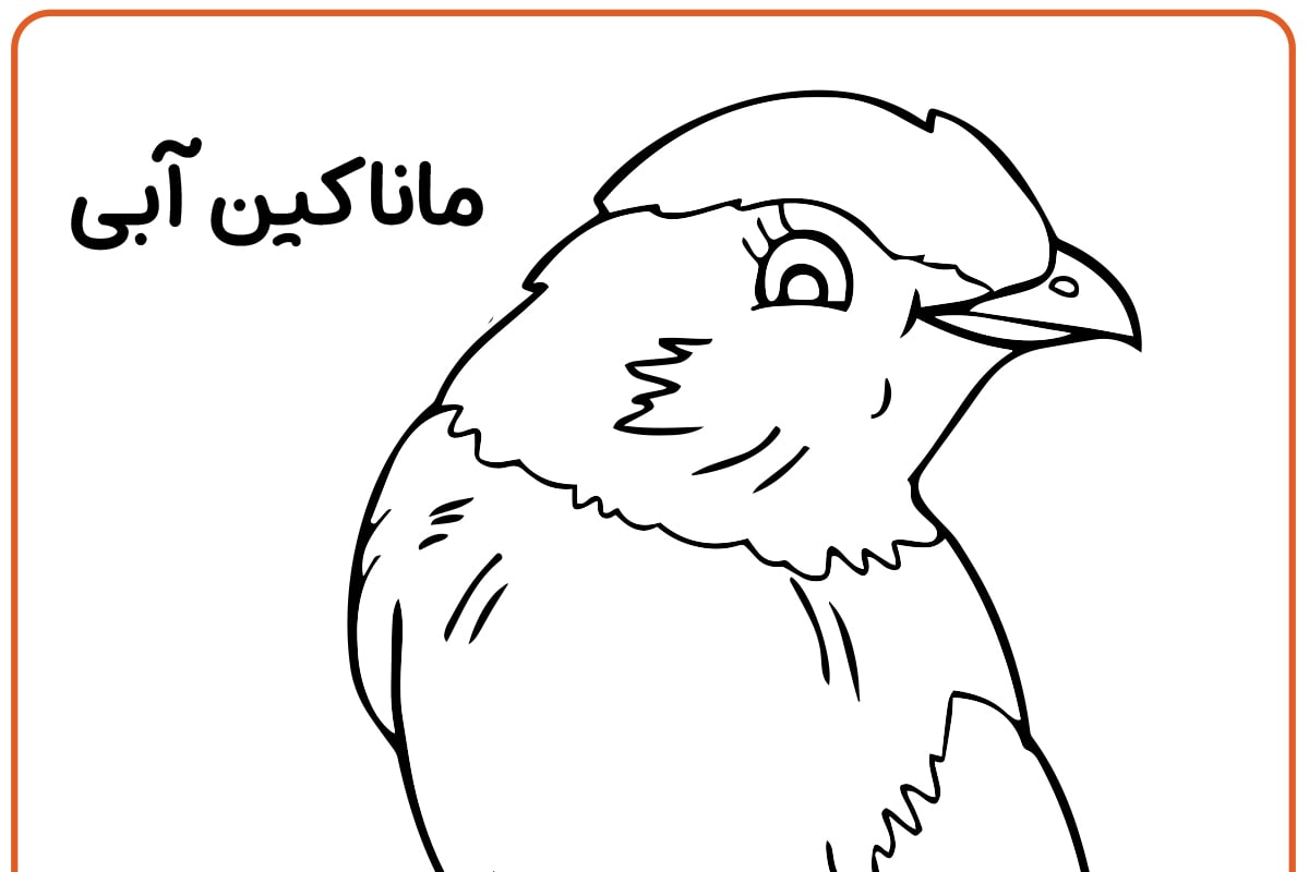 پرنده ای به نام ماناکین