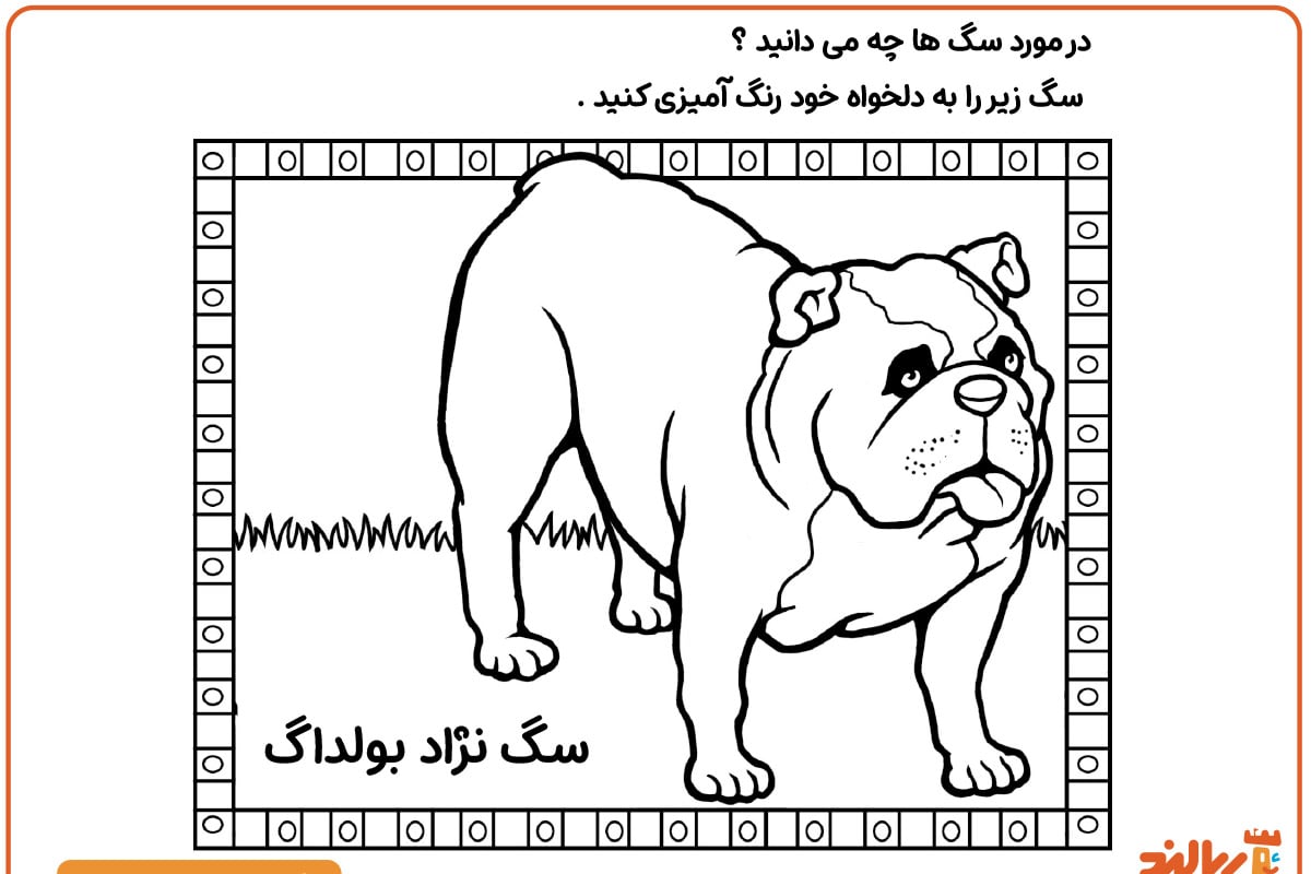 رنگ آمیزی سگ