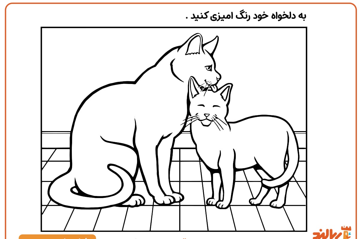به وقت حمام گربه ها