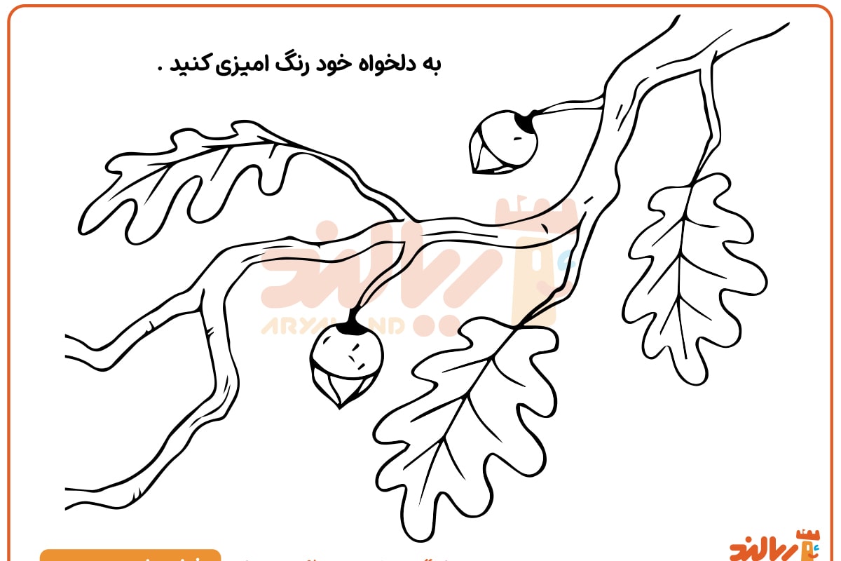 رنگ آمیزی درخت بلوط