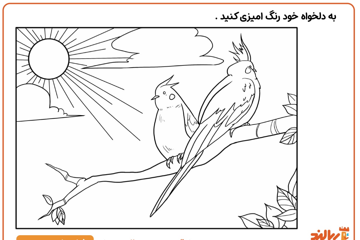 رنگ آمیزی پرنده کاکاتیل