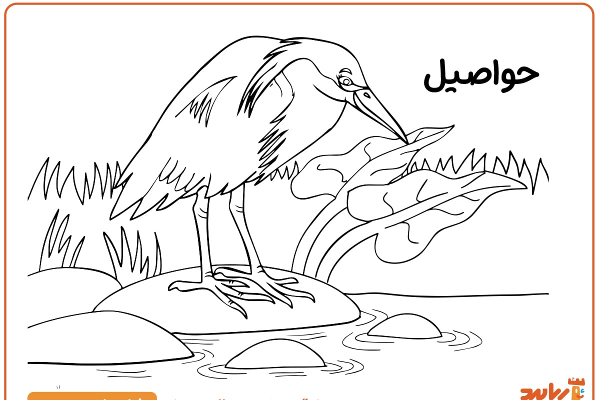 رنگ آمیزی پرنده حواصیل