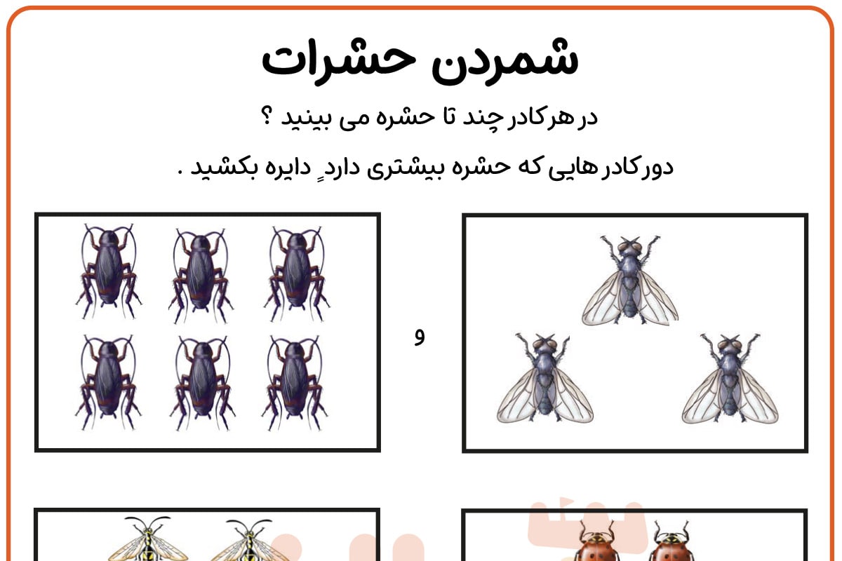 شمارش حشرات