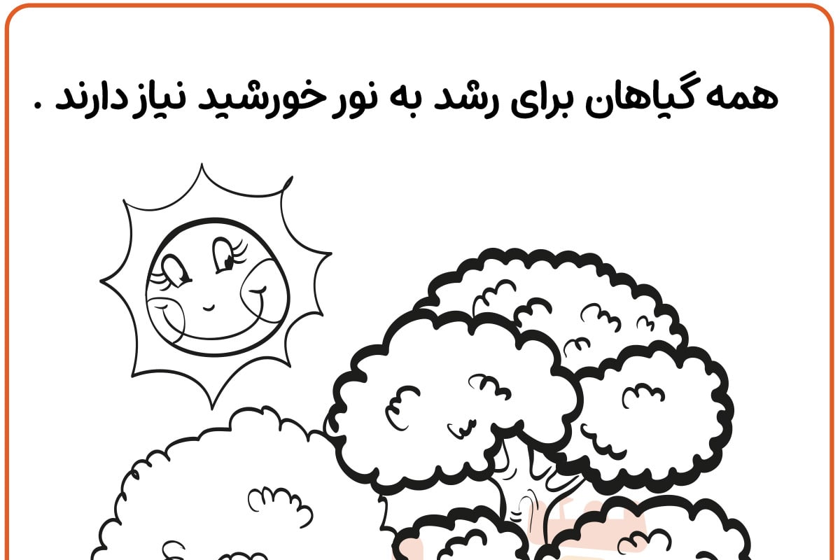 رنگ آمیزی جنگل