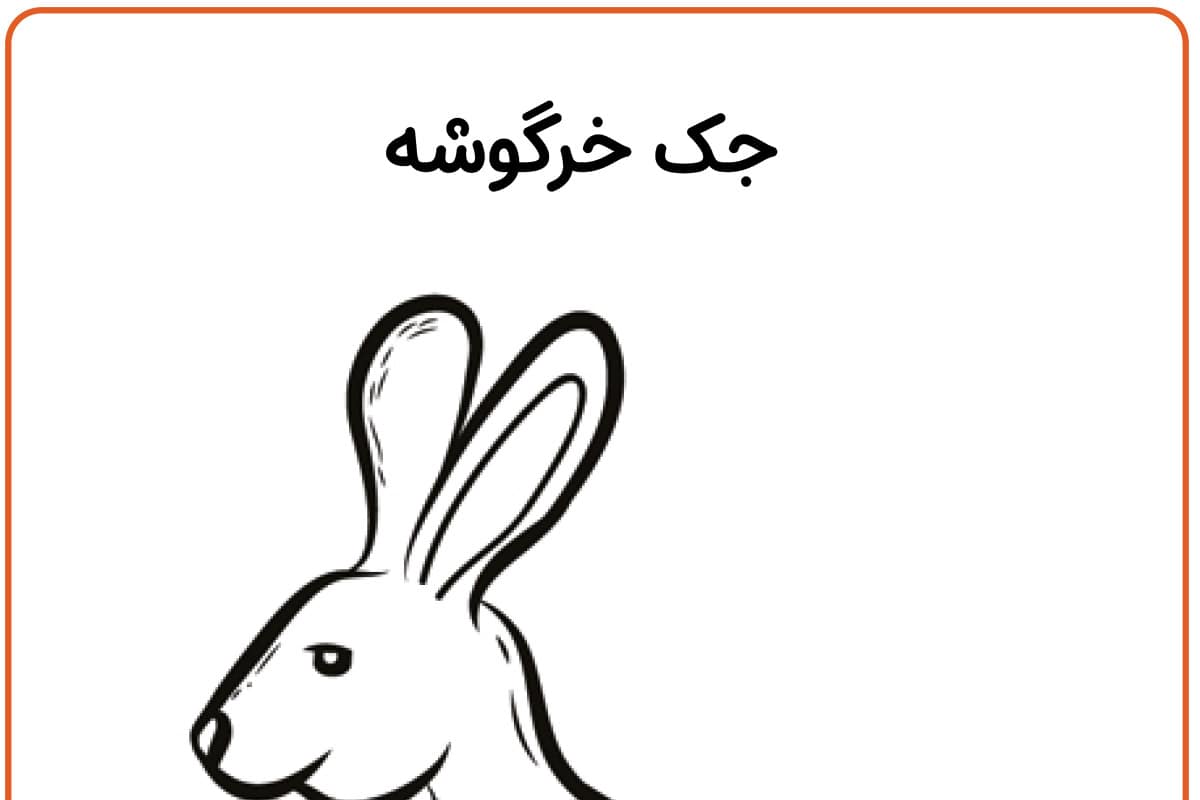 رنگ آمیزی خرگوش