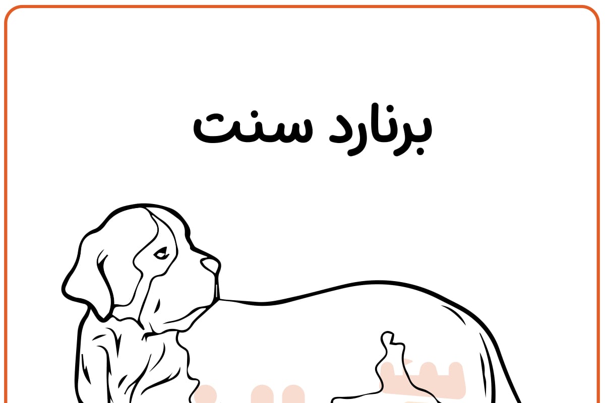 رنگ آمیزی سگ برنارد