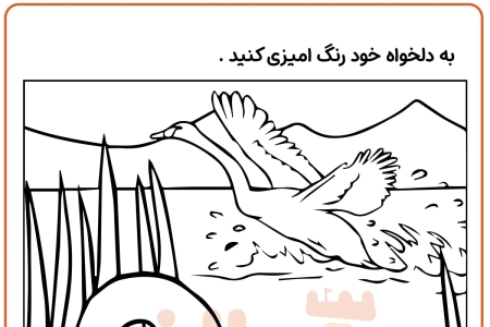 رنگ آمیزی قو