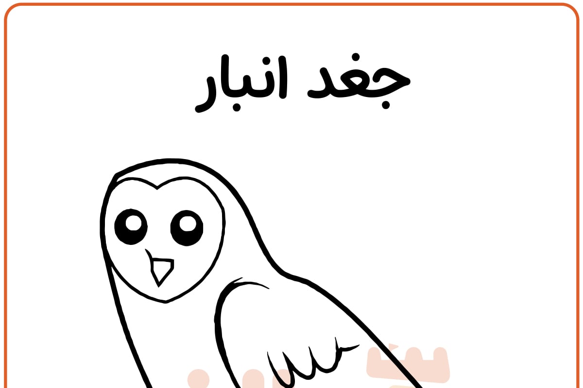 رنگ آمیزی جغد انبار