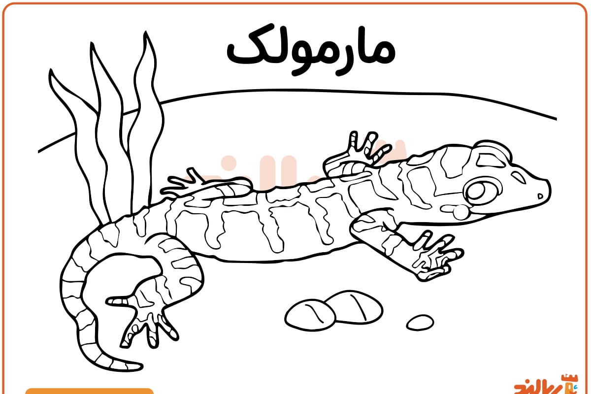 رنگ آمیزی مارمولک
