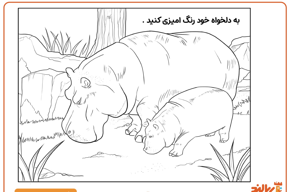 رنگ آمیزی کرگدن