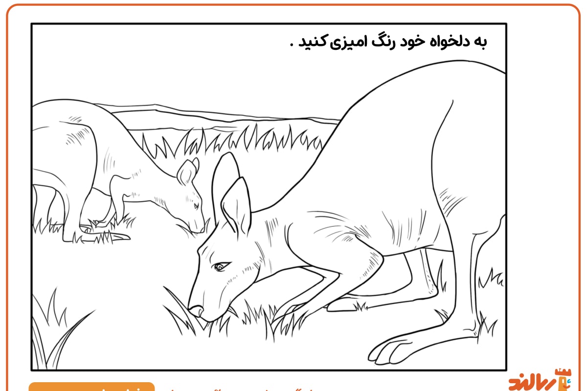 رنگ آمیزی کانگورو