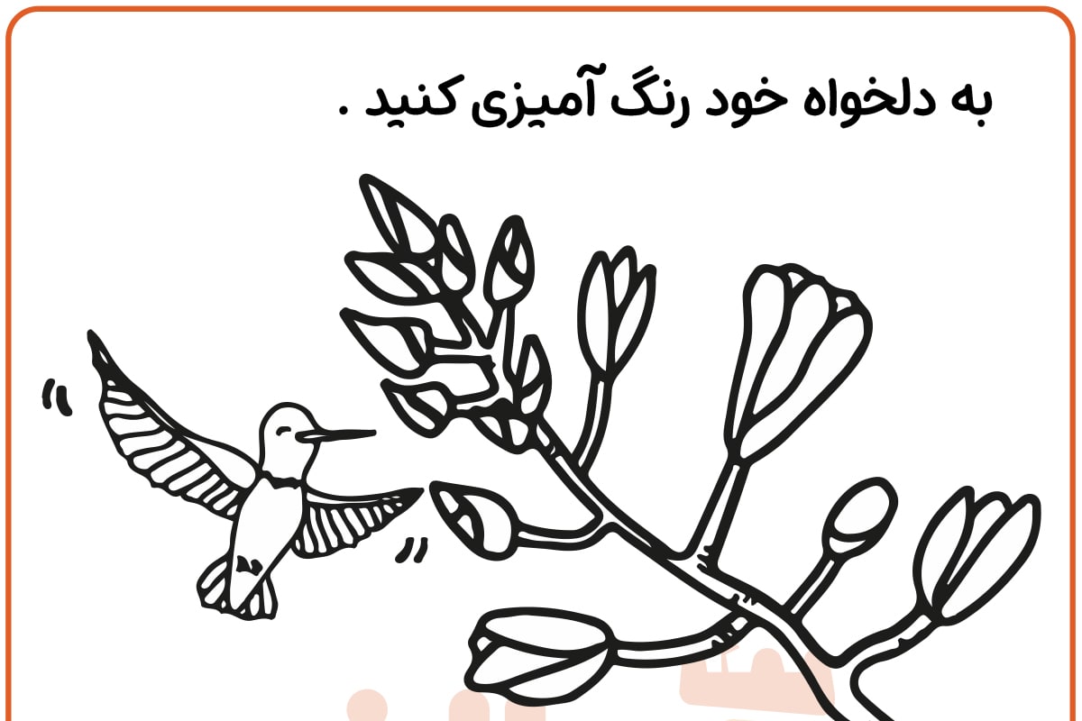 رنگ آمیزی مرغ های مگس خوار