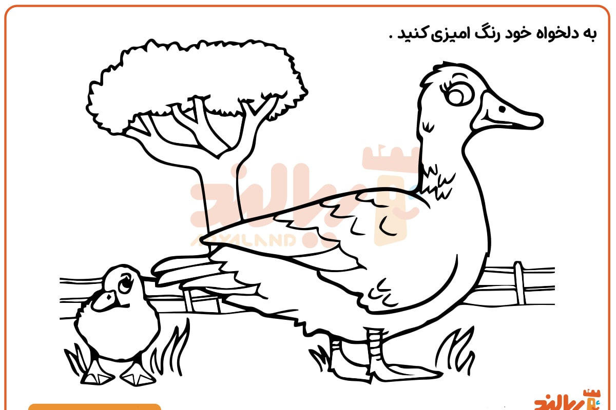 رنگ آمیزی اردک و بچه اردک
