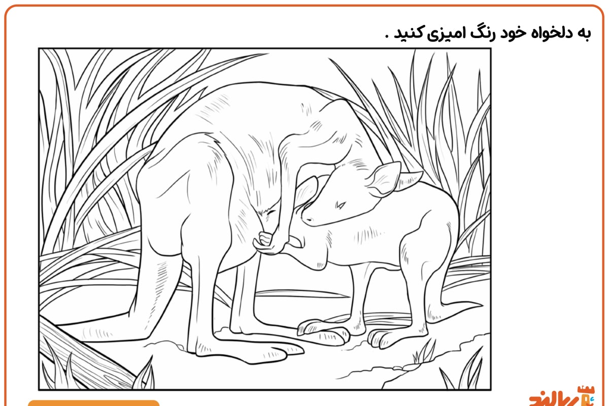 رنگ آمیزی مامان کانگورو