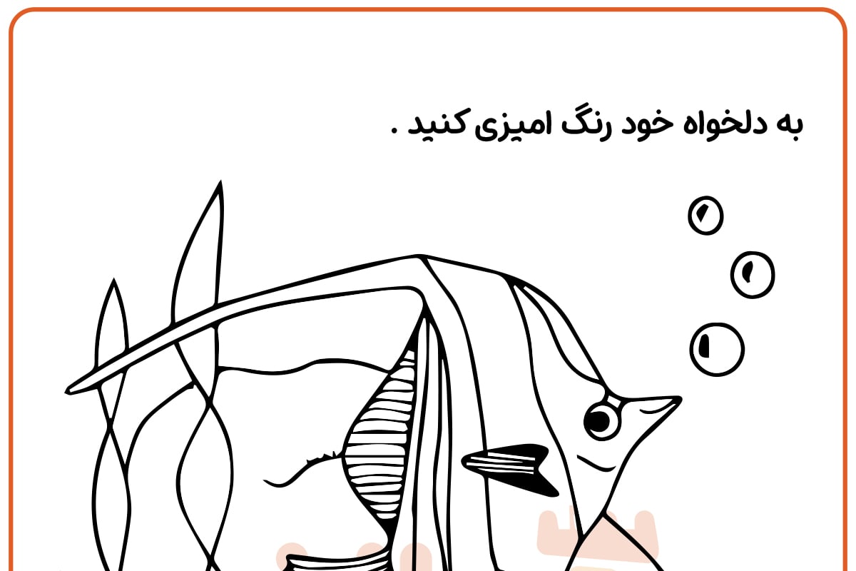 رنگ آمیزی ماهی بت موری