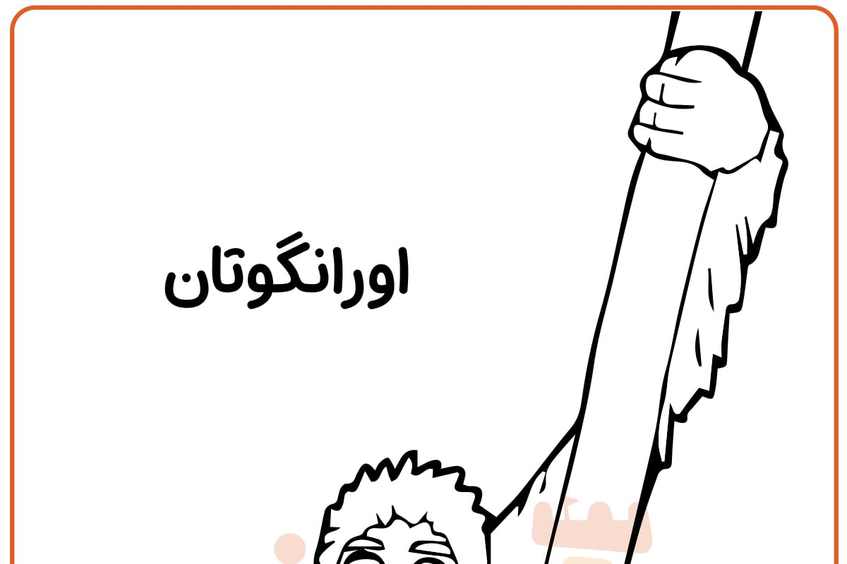 رنگ آمیزی اورانگوتان