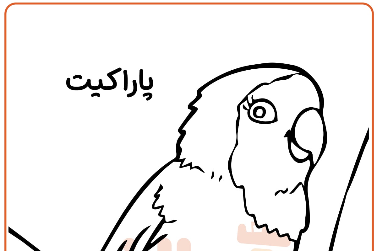 رنگ آمیزی پاراکیت