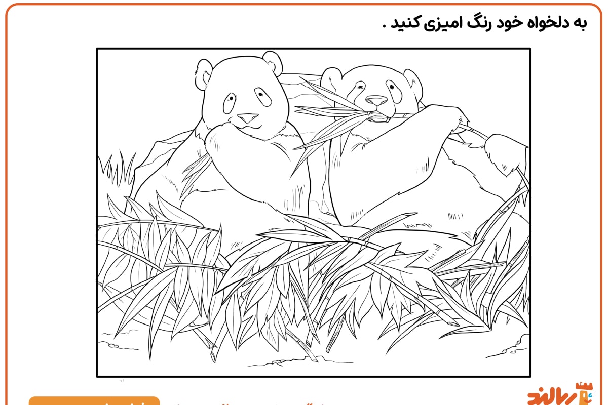 رنگ آمیزی خرس های شکمو