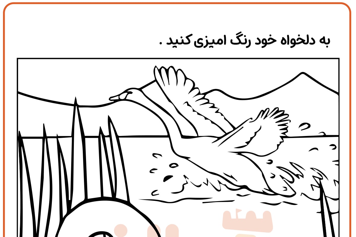 رنگ آمیزی قو
