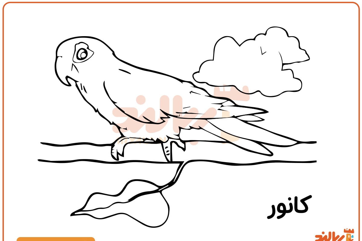 رنگ آمیزی پرنده کانور