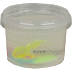 اسلایم 300 گرمی آکواریومی اوودی