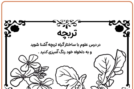 رنگ تربچه