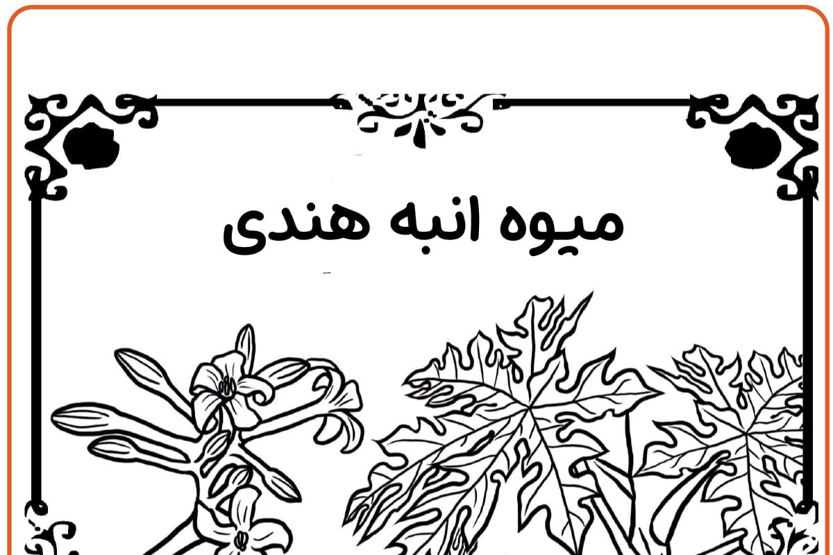 رنگ آمیزی انبه هندی