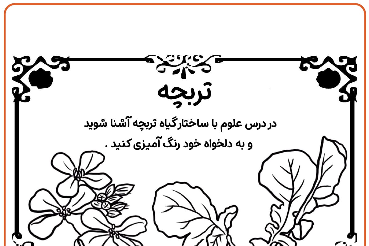 رنگ تربچه
