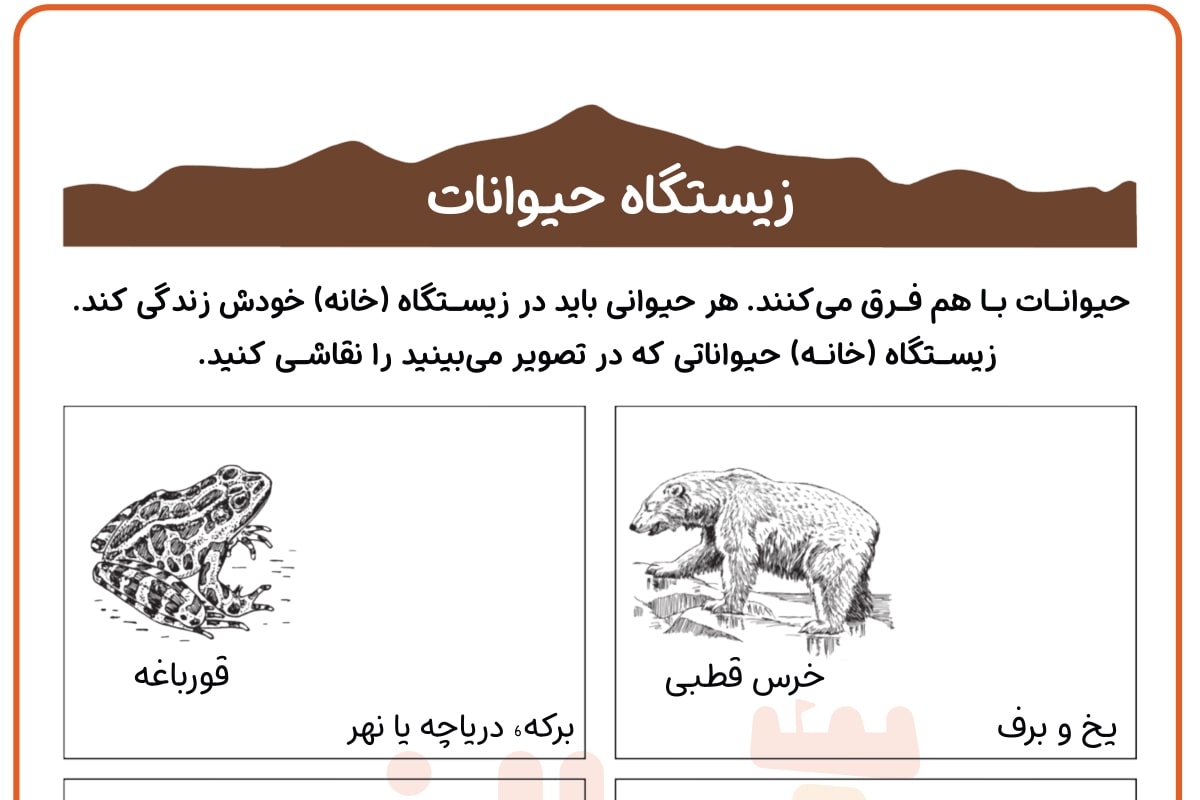 زیستگاه حیوانات 6