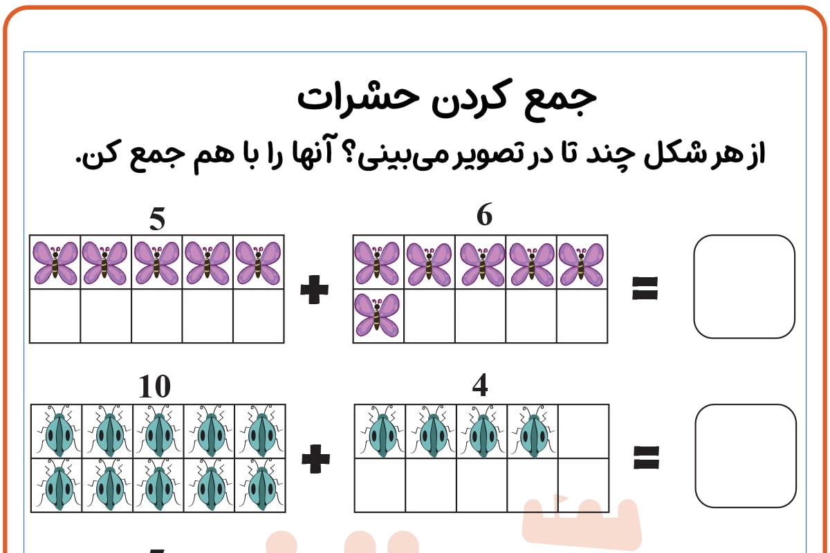جمع کردن حشرات