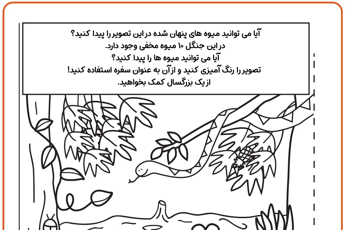 رنگ آمیزی میوه های مخفی جنگل