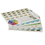 بازی فکری کالیکو