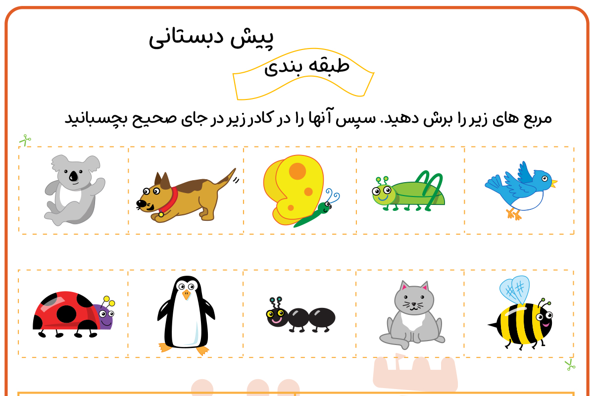 طبقه بندی حشرات