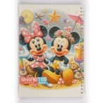 دفتر 100 برگ فانتزی طلقی فنر دوبل کد 38